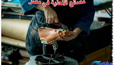 مصانع الاحذية في مصر